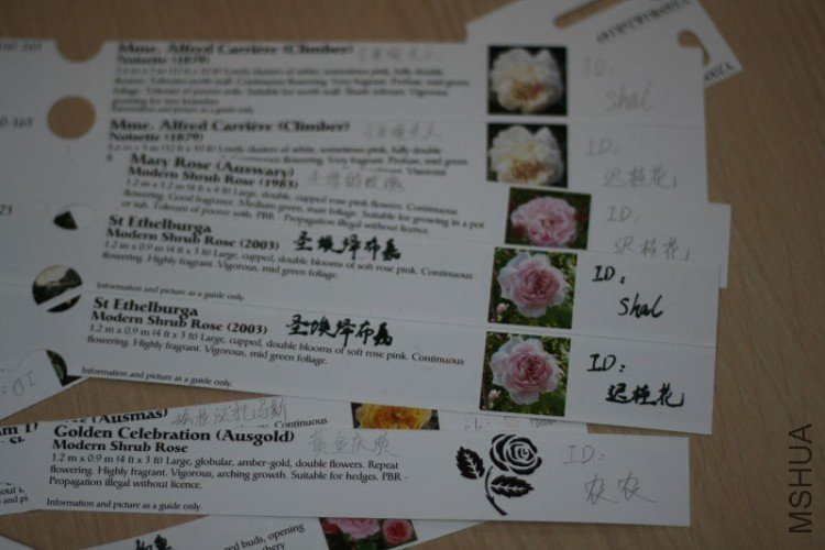 20090319_9ί���ǩ.jpg