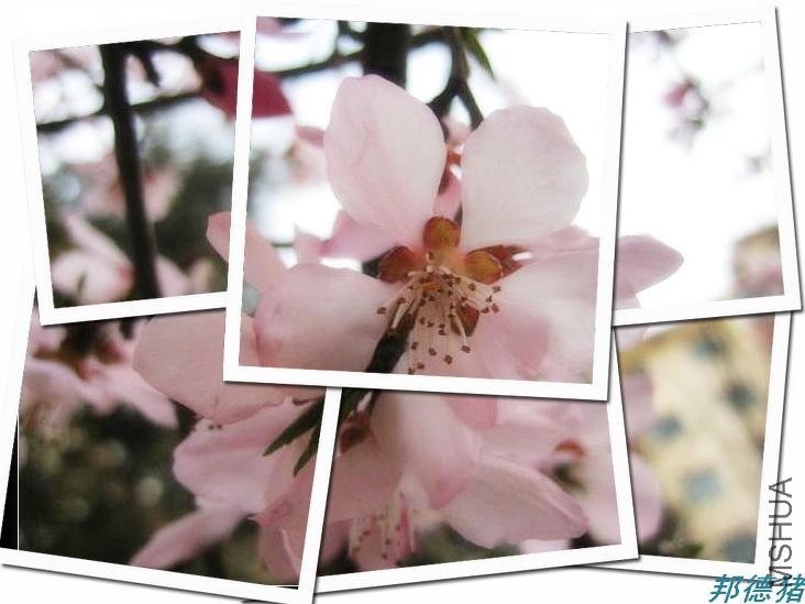 �����������˵�һ��÷��