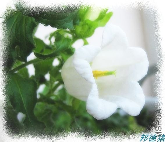 ���еĵȴ�������һ�̵õ��ر�