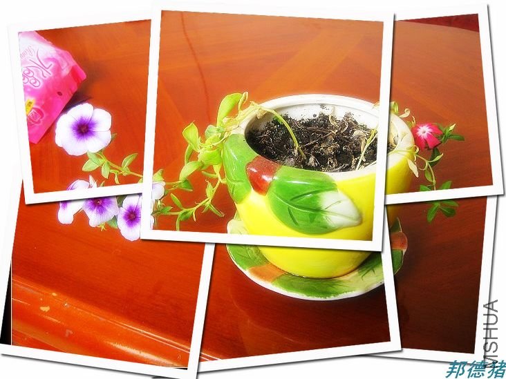 ����һ��СС�ĸ�»��Ҳ���Ŵ�������