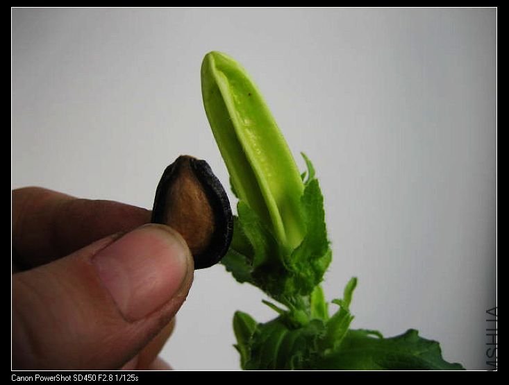 �������Ļ��� ����2����