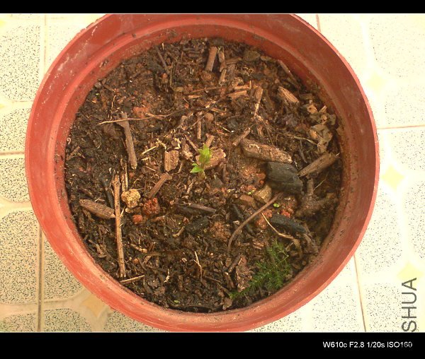 ����ŵ��� �������Ѿ���ʼ������