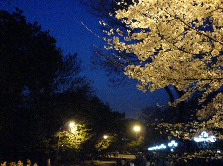 06.jpg