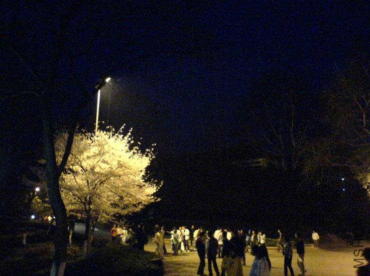 08.jpg