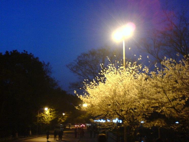 04.jpg