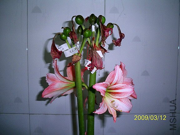 ��Ƭ 129(576).jpg