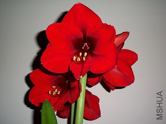 ��Ƭ 2281(576).jpg