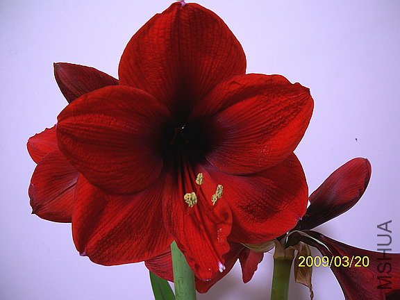 ��Ƭ 2256(576).jpg