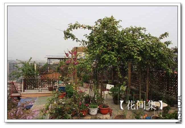 IMG_1553 ����.jpg