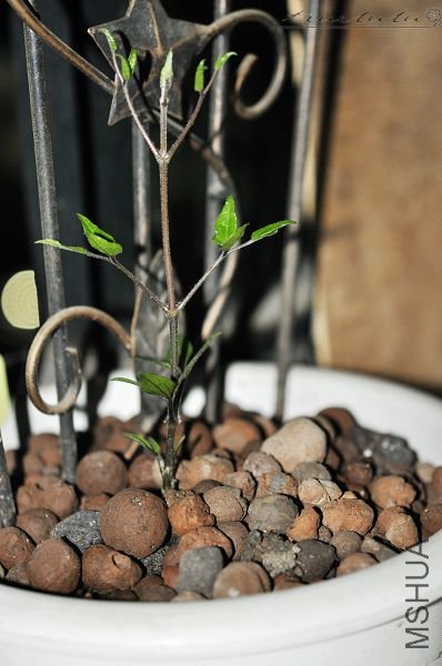 ��Ƭ090308 004.jpg