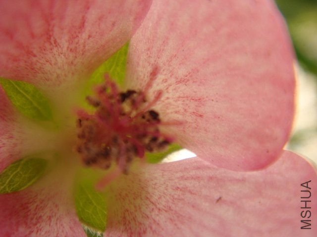 DSC77.JPG