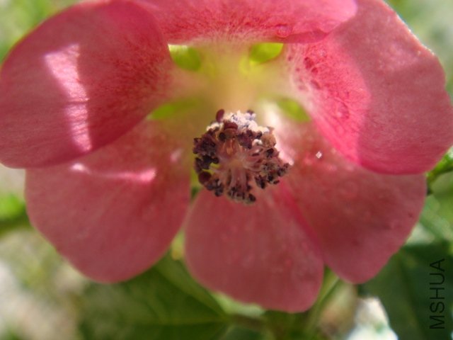 DSC01115.JPG