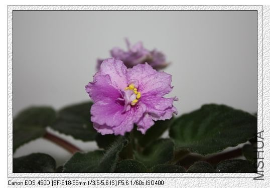 nEO_IMG_��Ƭ 169.jpg