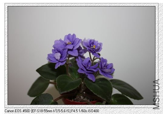 nEO_IMG_��Ƭ 132.jpg