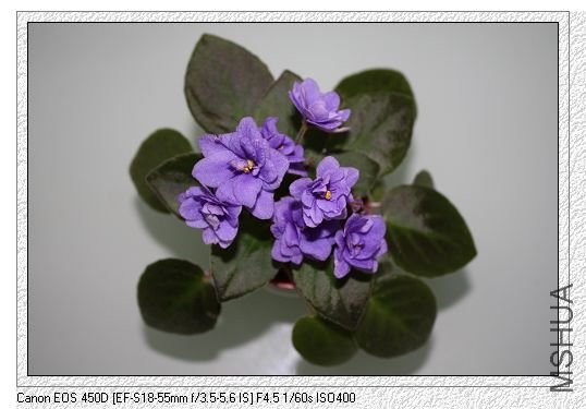 nEO_IMG_��Ƭ 134.jpg