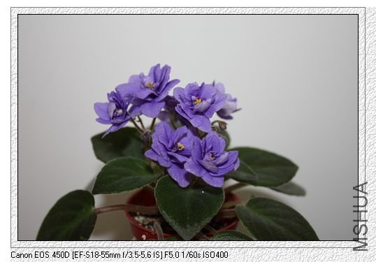 nEO_IMG_��Ƭ 133.jpg