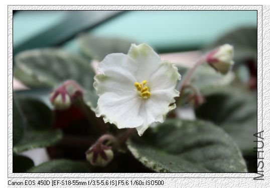 nEO_IMG_��Ƭ 141.jpg