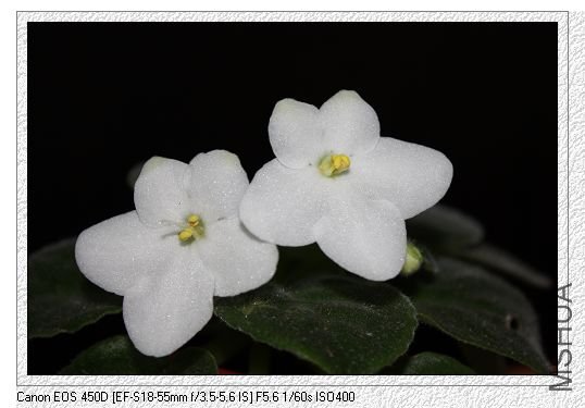 nEO_IMG_��Ƭ 165.jpg