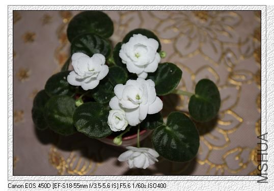 nEO_IMG_��Ƭ 152.jpg