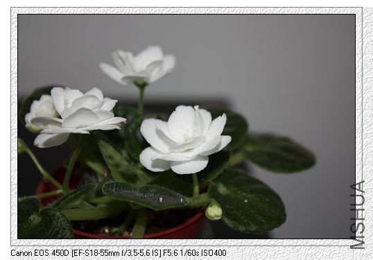 nEO_IMG_��Ƭ 150.jpg