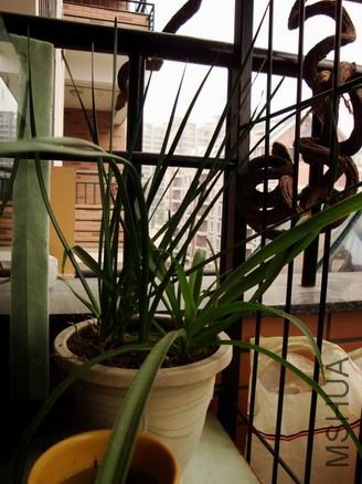 ������С ������С ��ת DSC00377.JPG