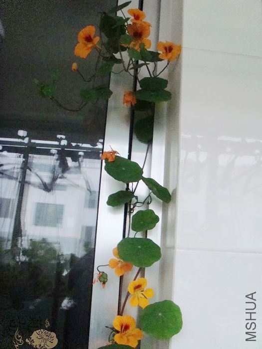 �������� (1).jpg