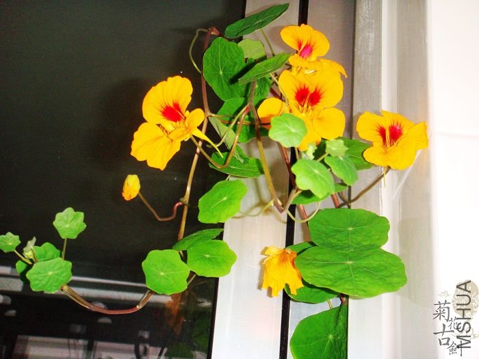 �������� (2).jpg