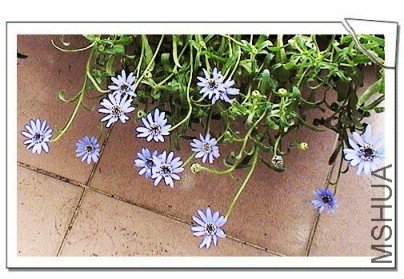 ���տ�������һ��