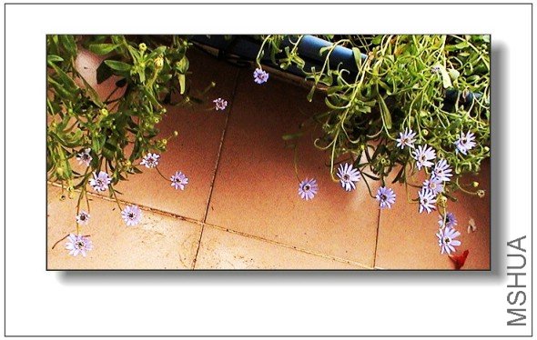 �����Ѿ�û������״,���߰���һ��