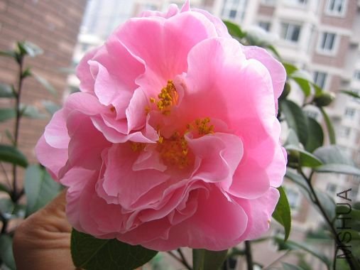 117_1760.jpg