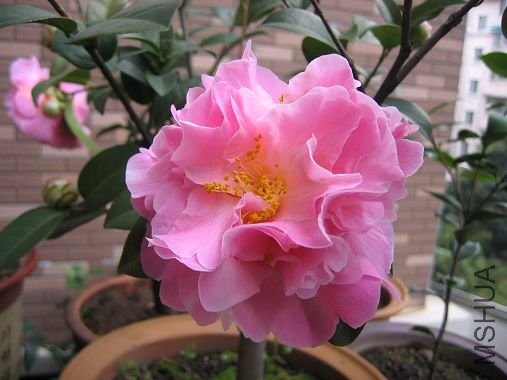 117_1758.jpg