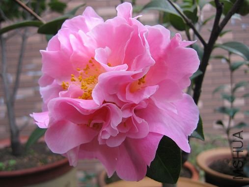 117_1755.jpg