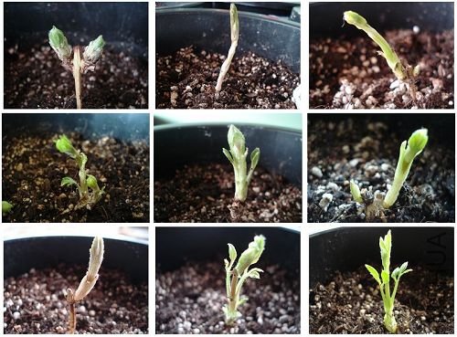 ���ϵڶ���ļ����գ����ڶ���ʼ�����ˣ�