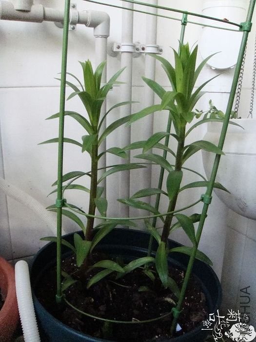 �ձ�����28�� (1).jpg