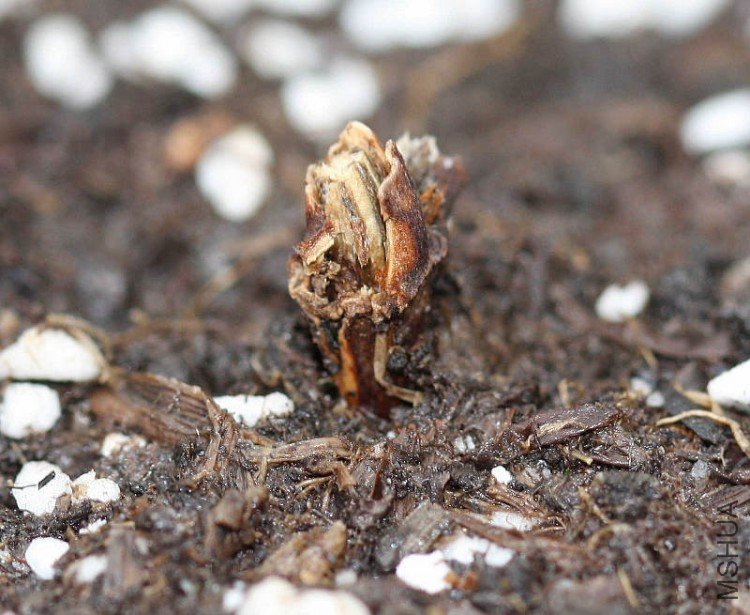 ��Ƭ 113_nEO_IMG.jpg