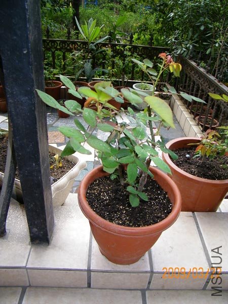 100_0081.JPG
