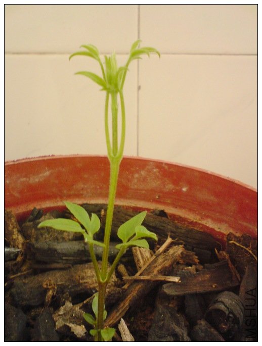 �᲻���е�ͽ��ѽ