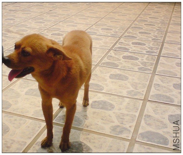 Ҳ�������Ҽҵı���