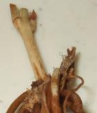 ���ϸ���ʱ������