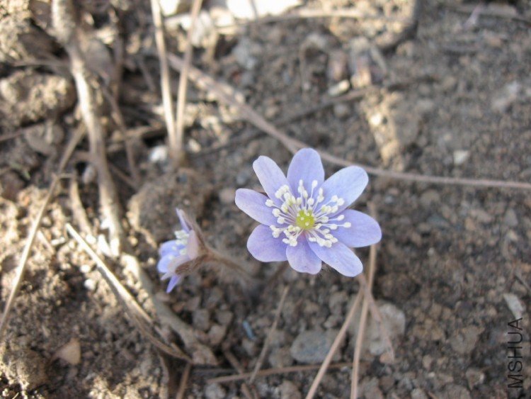 2009_03_23 008_1.jpg