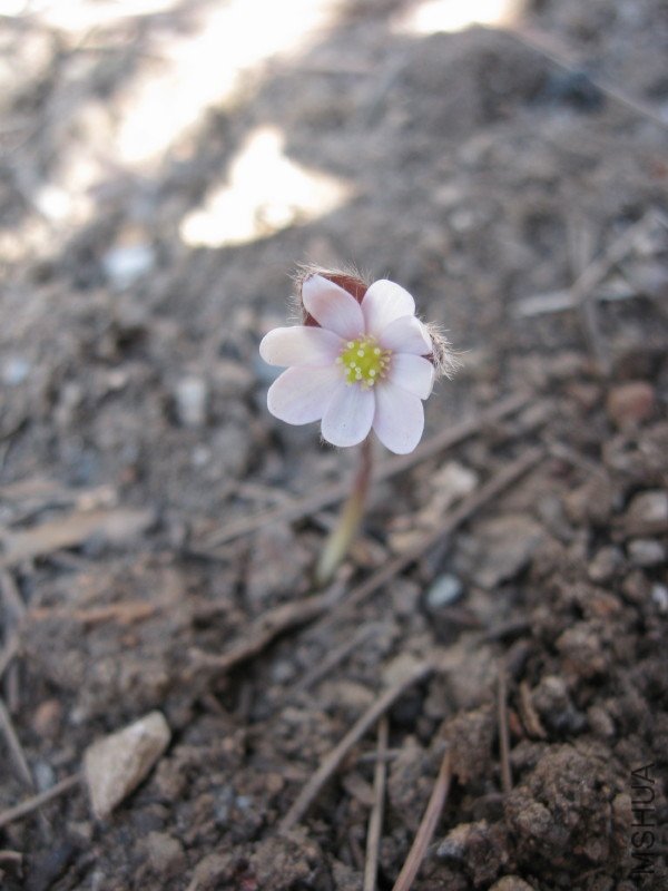 2009_03_23 010_1.jpg