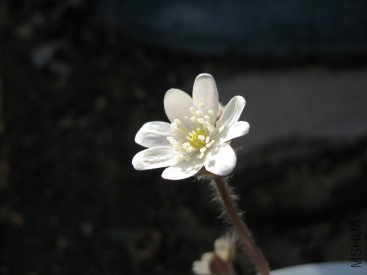 2009_03_23 015_1.jpg