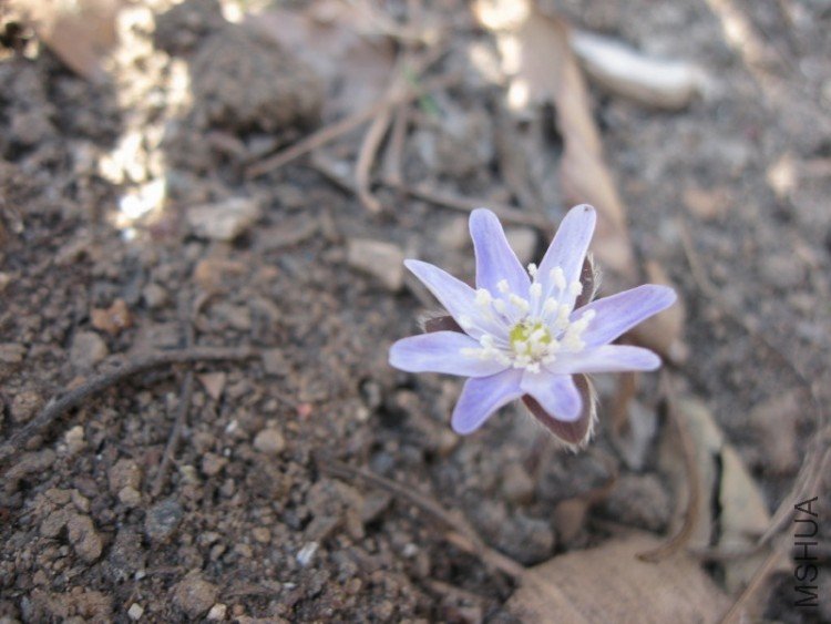 2009_03_23 009_1.jpg