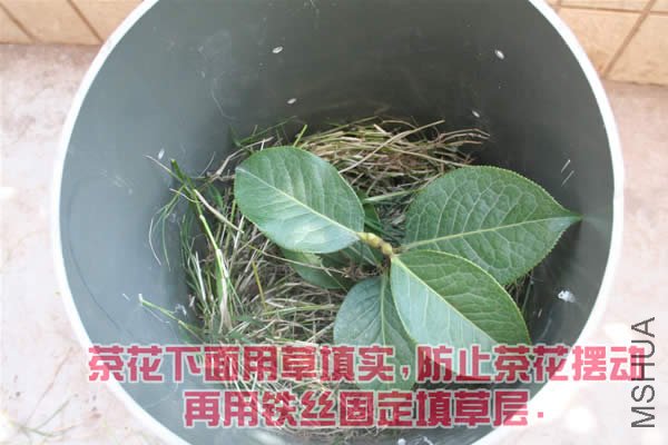 200932114194750.jpg