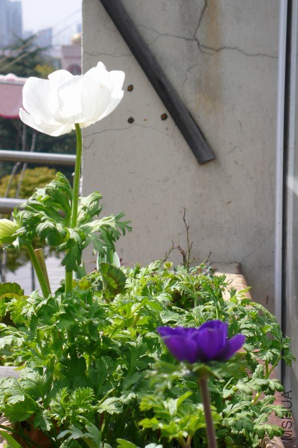 ������С ��ת P1010146.JPG