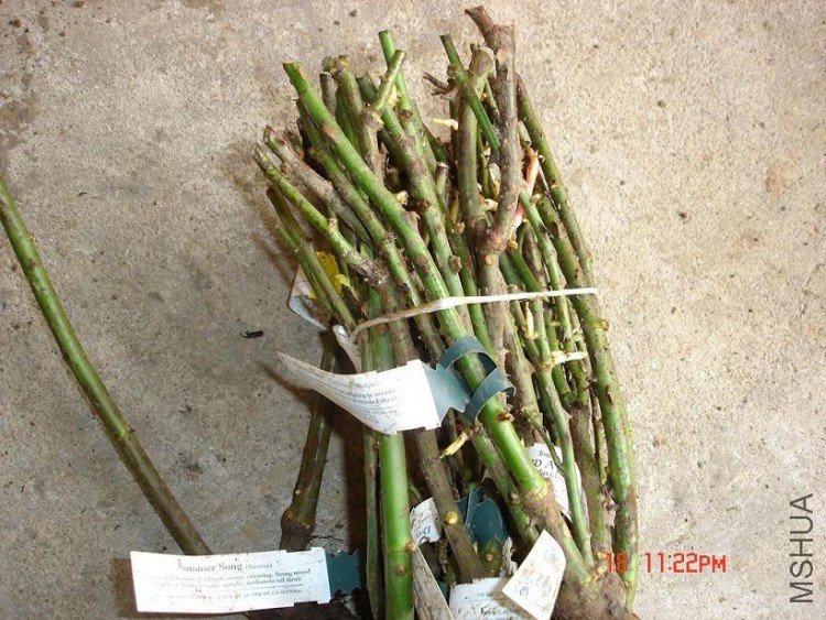 ��Ƭ0313 125.jpg