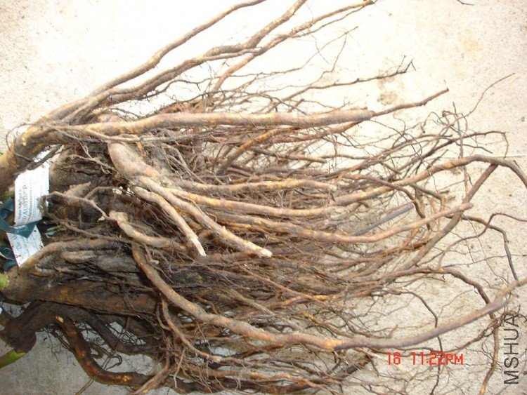 ��Ƭ0313 126.jpg