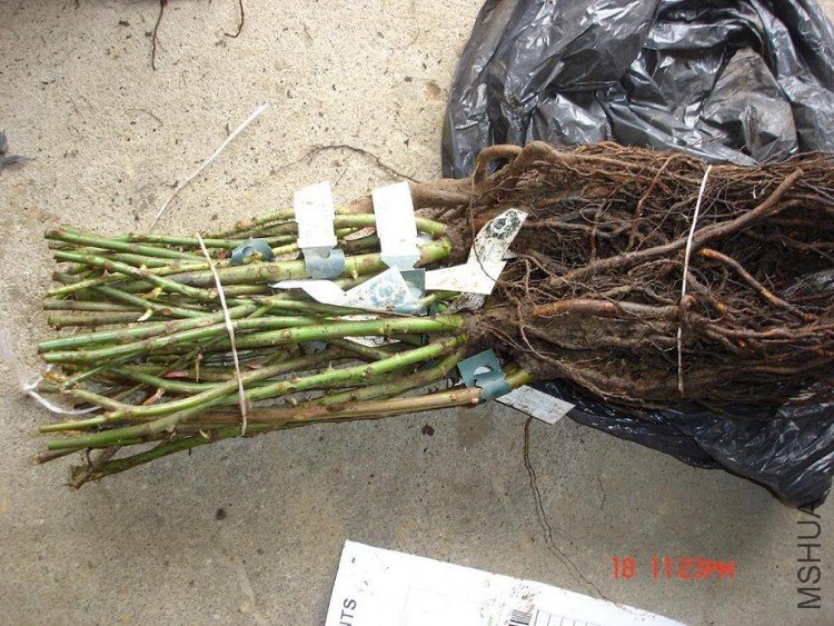 ��Ƭ0313 128.jpg