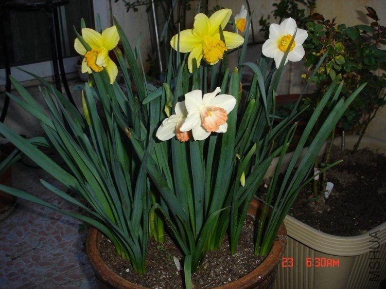 ��Ƭ0313 121.jpg