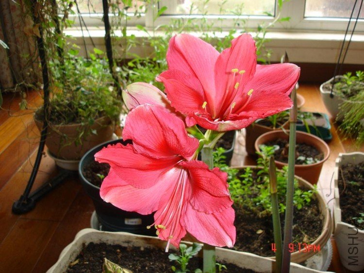 ��Ƭ0313 015.jpg